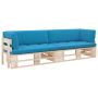 Dvivietė sofa iš palečių su pagalvėlėmis, impregnuota pušis