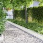 Vejos borteliai 10 pcs Balta 103 x 0,05 x 22 cm Plienas
