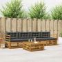 Lauko sofos komplektas su pagalve 5 pcs Natūralus ir antracitas