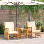 Sodo Sofų Rinkinys su pagalve 3 pcs Natūralus aliejus