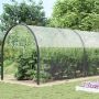 Tent su kilpom Skaidrus 8 x 8 m Polietilenas
