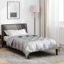 Žiemos antklodė Sidabro 220 x 135 cm Satin ir mikropluoštas