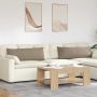 Sofa Pagalvės 2 pcs Taupe 120 x 40 cm audinys