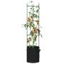 Pomidorų narvai su augalų maišeliais, 6vnt., 154cm, plienas/PP