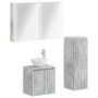 Vonios baldų rinkinys 4 pcs Betono pilka
