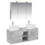 Vonios baldų rinkinys 4 pcs Betono pilka