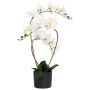 Dirbtinė orchidėja su vazonu Balta 45 x 15 x 65 cm