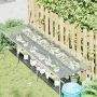 Augalų uždangalas Skaidrus 2,5 x 1,5 m PVC