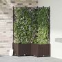 Sodo vazonas 3 pcs Ruda 80 x 80 x 143 cm Plienas