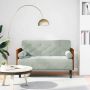 Dvivietė sofa su pagalvėlėmis, šviesiai pilka, 110 cm, aksomas