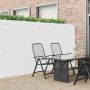 Sodo tvora, dvipusė, balta, 1,8x3 m, PVC