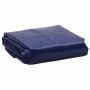 Tentas, mėlynos spalvos, 5x8m, 650g/m²