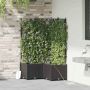 Sodo vazonas 3 pcs Juoda Plienas