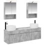 Vonios spintos komplektas 5 pcs Betono pilka 50 x 14,5 x 70 cm