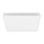 Philips Hue Surimu Square Panel Light, 60 x 60 cm | 2000-6500 Hue White Color Ambiance