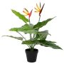 Dirbtinis Strelitzia Augalas Žalia 65 x 13 x 55 cm