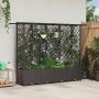 Pakeltas lovas su trelėmis ir stogu Ruda 202 x 40 x 138 cm PP