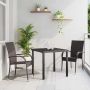 Sodo valgomojo komplektas 3 pcs Ruda