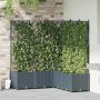 Sodo vazonas 5 pcs Šviesiai Pilka 120 x 120 x 143 cm Plienas
