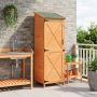 Sodo Sandėlys Ruda 59,5 x 56 x 176,5 cm Apdirbta mediena