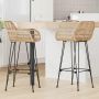Baro Kėdė 2 pcs Natūrali 55 x 52 x 105 cm Ratanas ir Geležis