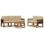 Lauko sofos komplektas su pagalve 6 pcs