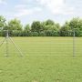 Tvorelės stulpas Cinkuotas 25 x 0,8 m Plienas