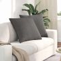 Sofa Pagalvės 2 pcs Šviesiai pilka 60 x 60 cm