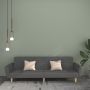 Dvivietė sofa-lova, šviesiai pilkos spalvos, audinys