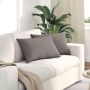 Sofa Pagalvės 2 pcs Taupe 60 x 40 cm audinys