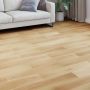 Laminato grindys 5 pcs Šviesus klevas 101 x 20 x 0,8 cm