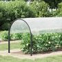 Tent su kilpom Skaidrus 2 x 12 m Polietilenas