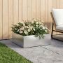 Sodo vazonas Sidabrinė 60 x 60 x 20 cm Galvanizuotas plienas