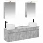 Vonios spintos komplektas 5 pcs Betono pilka 50 x 14,5 x 70 cm