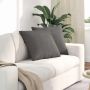 Sofa Pagalvės 2 pcs Šviesiai pilka 50 x 50 cm