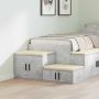 Oppbevaringsskap 2 pcs Betono pilka 103 x 41 x 40 cm