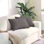 Sofa Pagalvės 2 pcs Šviesiai pilka 60 x 40 cm