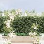 Vestuvinis Arklys Balta 220 x 45 x 200 cm Plienas