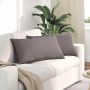 Sofa Pagalvės 2 pcs Taupe 80 x 40 cm audinys