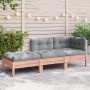 trivietė sodo sofa su pagalvėlėmis ir pakoja