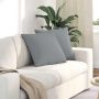 Sofa Pagalvės 2 pcs Šviesiai pilka 50 x 50 cm audinys