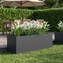 Sodo vazonas Antracito 80 x 30 x 30 cm Šaltai valcuotas plienas