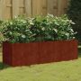 Aukštas sodo lovelis, 120x40x40cm, Corten plienas
