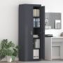 Oppbevaringsskap 2 pcs Antracitas 60 x 40 x 180 cm Plienas