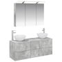 Vonios baldų rinkinys 4 pcs Betono pilka