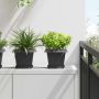 Augalų vazonai 24 pcs Juoda 20 x 20 x 16 cm Plastmasė