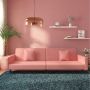 Dvivietė sofa-lova su dvejomis pagalvėmis, rožinė, aksomas