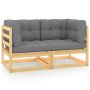 Dvivietė sodo sofa su pagalvėlėmis, pušies medienos masyvas