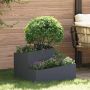 Sodo vazonas Antracitas 60 x 60 x 50 cm
