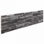 Sienų plokštės 10 pcs Antracitas 100 x 25 cm EPS putos